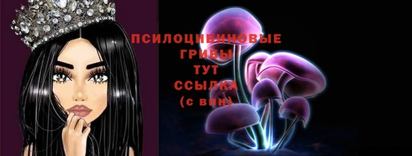 меф Алексин