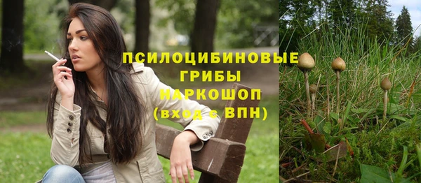 меф Алексин