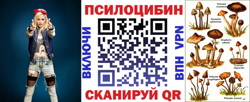 Псилоцибиновые грибы Psilocybe  Осинники 